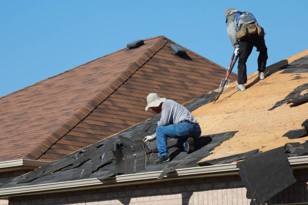 Best Roof Installation  in Obion, TN