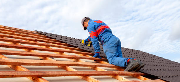 Best Roof Maintenance and Cleaning  in Obion, TN