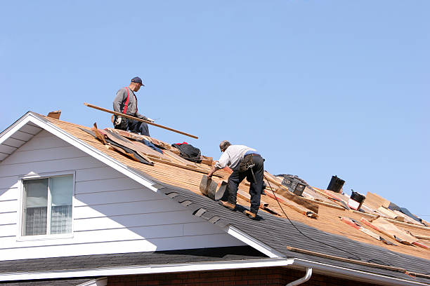 Best Roof Repair  in Obion, TN