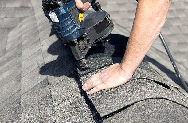 Best Roof Maintenance and Cleaning  in Obion, TN