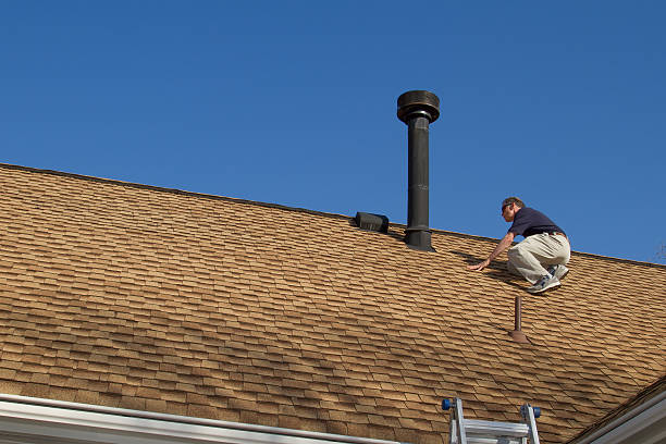 Best Roof Insulation Installation  in Obion, TN